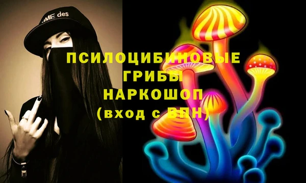 apvp Богородск