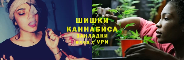 apvp Богородск