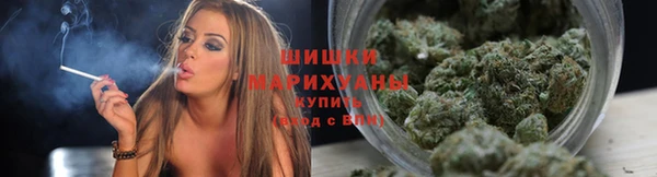 apvp Богородицк