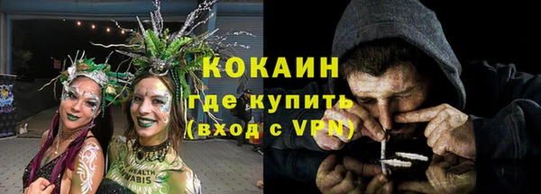 apvp Богородицк