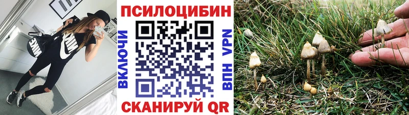 гидра ссылки  купить наркотики сайты  Новокубанск  дарк нет формула  Псилоцибиновые грибы мухоморы 